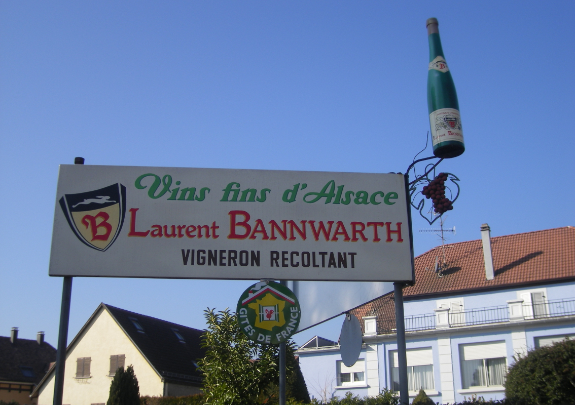 Vins d'Alsace biologique (bio) - Colmar - Eguisheim - Obermorschwihr